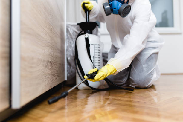 Best Flea Control Services  in Sylvan Springs, AL