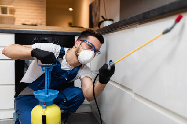 Professional Pest Control in Sylvan Springs, AL