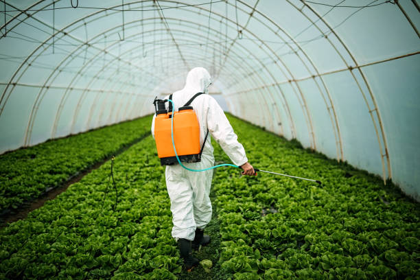 Best Pest Inspection Near Me  in Sylvan Springs, AL