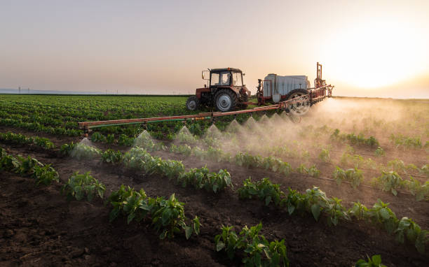 Best Pest Control Treatment  in Sylvan Springs, AL