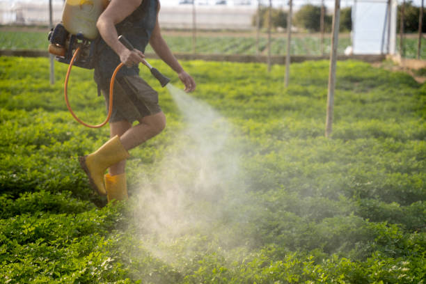 Best Pest Control Cost  in Sylvan Springs, AL