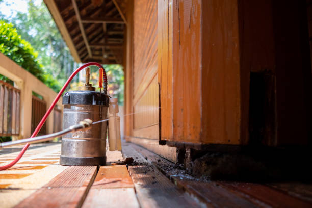Wasp Removal Services in Sylvan Springs, AL