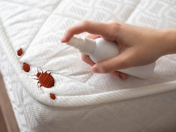 Best Wasp Removal Services  in Sylvan Springs, AL