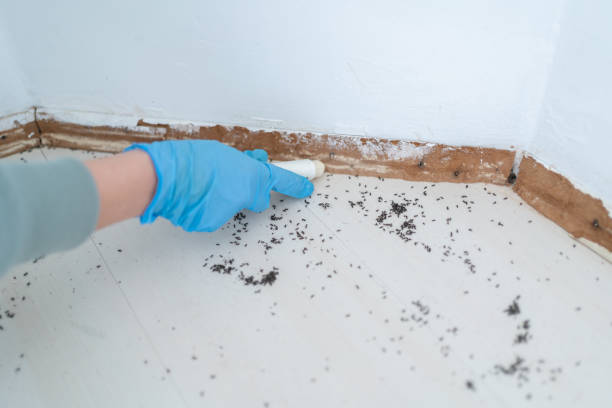Pest Control Cost in Sylvan Springs, AL